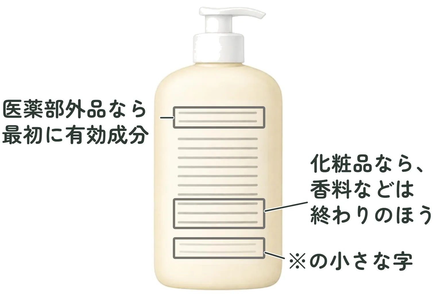ボトルの裏の欄の図。字の代わりに灰色の線が並ぶ。上の2行に枠と「医薬部外品なら最初に有効成分」。長い欄の終わりの3行に枠と「化粧品なら、香料などは終わりのほう」。いちばん下の離れた行に枠と「※の小さな字」