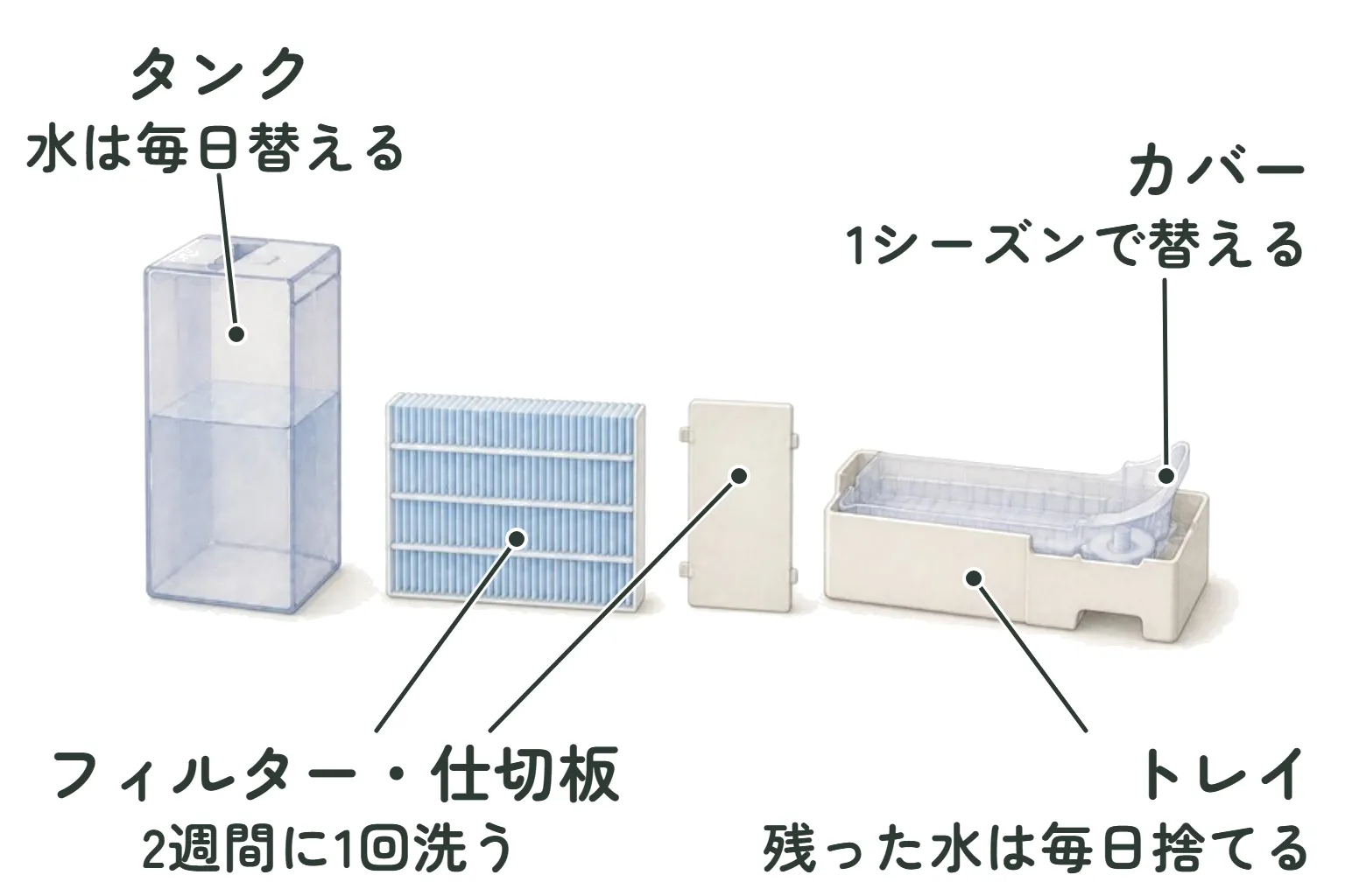 加湿器の手入れで外す部品を並べた絵。左から、タンク（水は毎日替える）、青いフィルターと薄い仕切板（どちらも2週間に1回洗う）、トレイ（残った水は毎日捨てる）と、その中に敷いた半透明のカバー（1シーズンで替える）