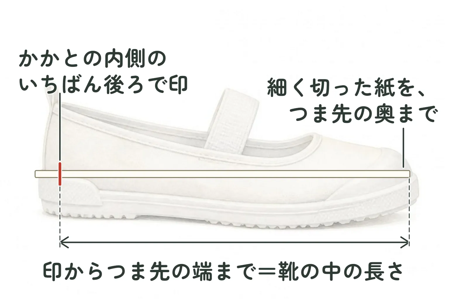 横から見た白い上履きの図。中敷きに沿って、細長い紙がつま先の奥まで差し込んである。かかとの内側のいちばん後ろに赤い印。下に「印からつま先の端まで＝靴の中の長さ」の矢印